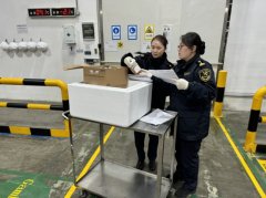 客岁上海外高桥保税区进出口总值再破万 客岁上海外高桥保税区进出口总值再破万